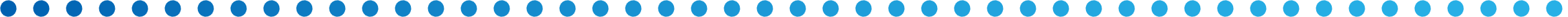 Dot Divider