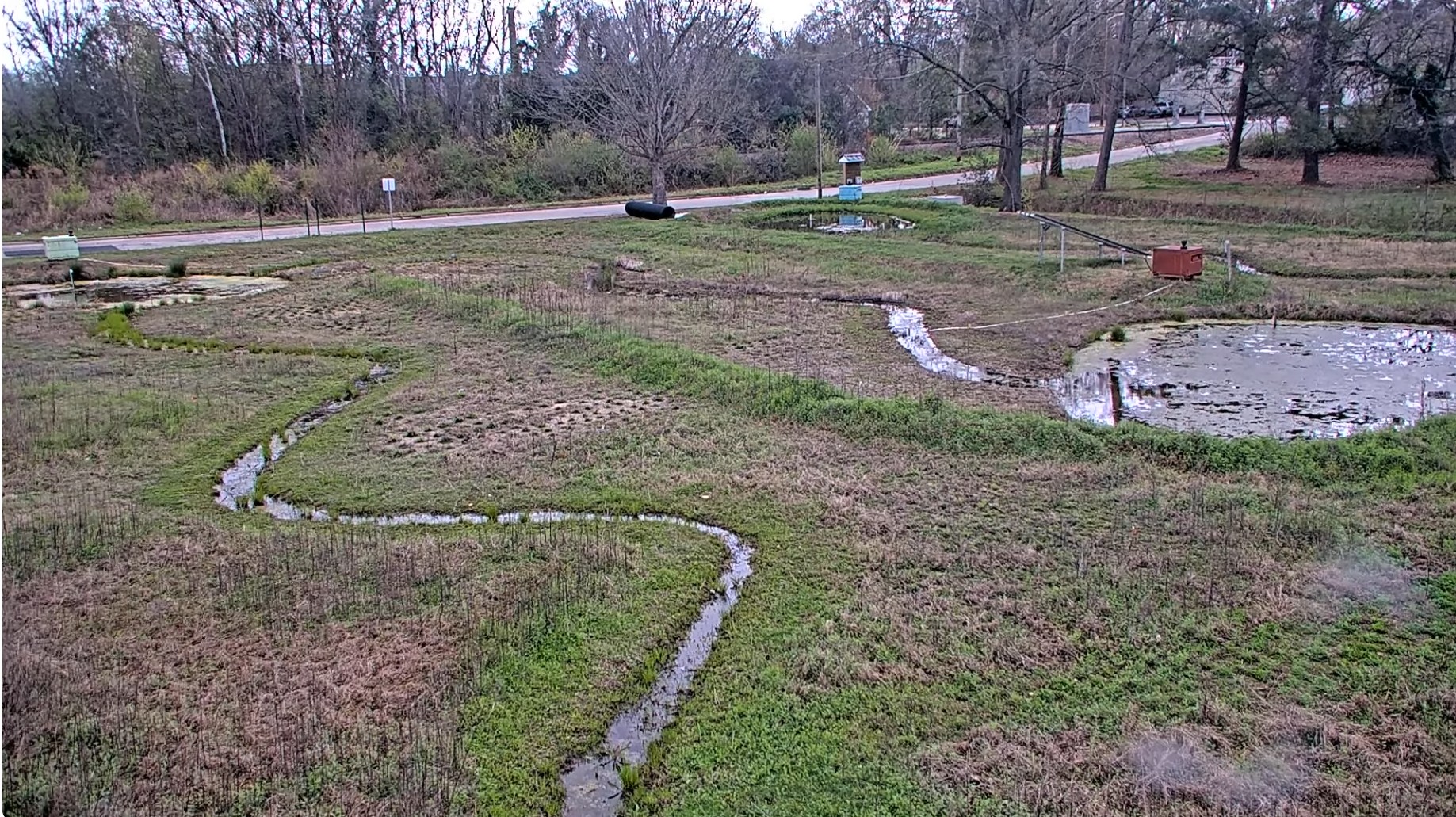 Wilson Parck Mercer Wetland