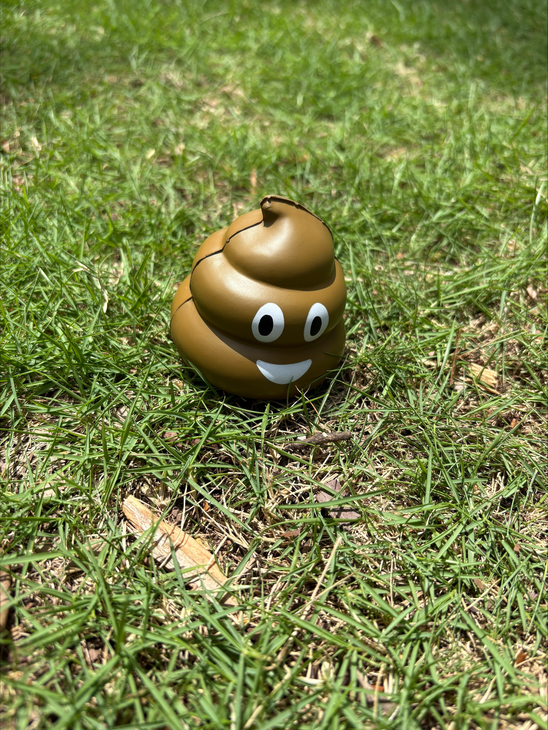 Poo Toss 1